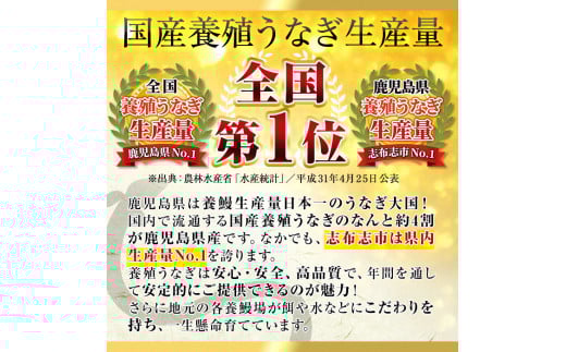 【数量限定】鹿児島県産！秘伝の特上スタミナうなぎ超特大蒲焼き1尾＜200g以上！＞肝吸いセット！ a1-150