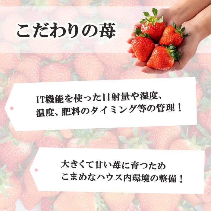 ãå
è¡äºçŽåä»äžïŒããæ°ééå®ã鹿å
å³¶çç£ææ¡ãã€ããŽãæã¿ã®ããçŽ1080g(çŽ270gÃ4ããã¯) a3-209