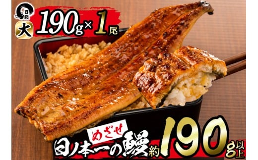 日ノ本一の鰻の蒲焼き＜大＞1尾(約190g以上) a3-202