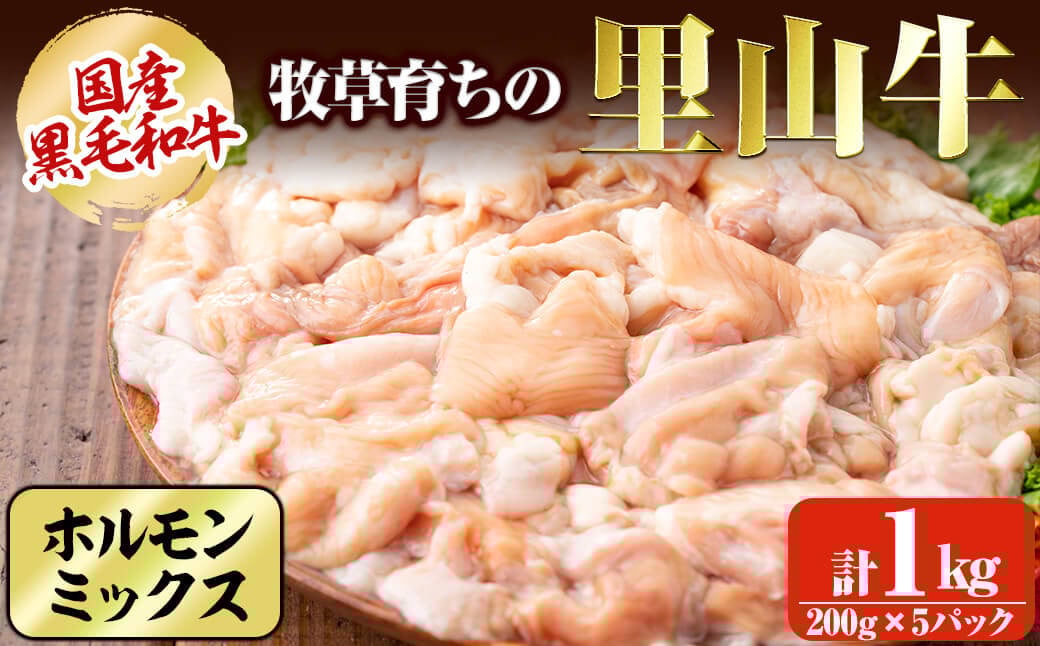 国産黒毛和牛 牧草育ちの里山牛 ホルモンミックス 計1kg a9-023