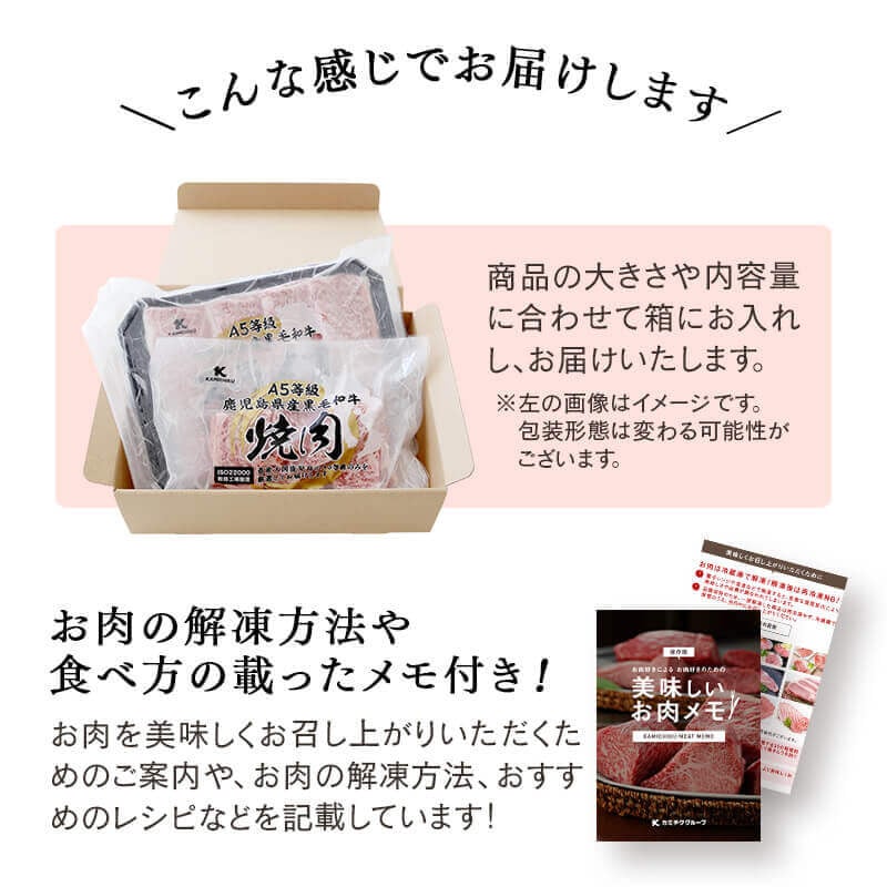 【小分け】＜A5等級＞鹿児島県産黒毛和牛 ヒレステーキ2種盛(240g×2パック/計480g) b6-023