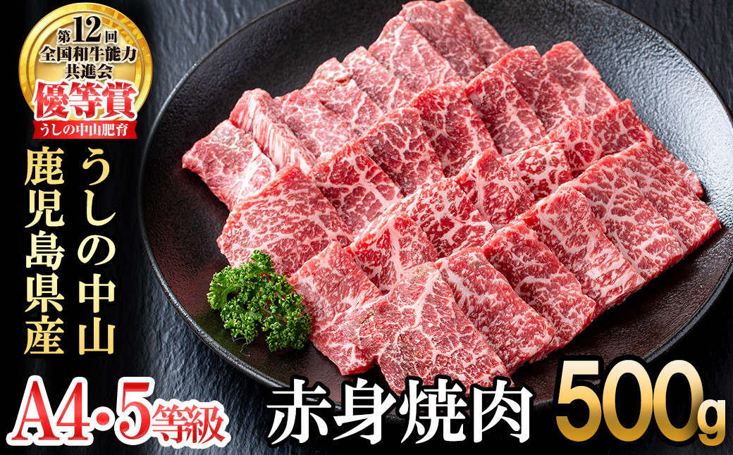 うしの中山 赤身焼肉用500g×1P b3-021