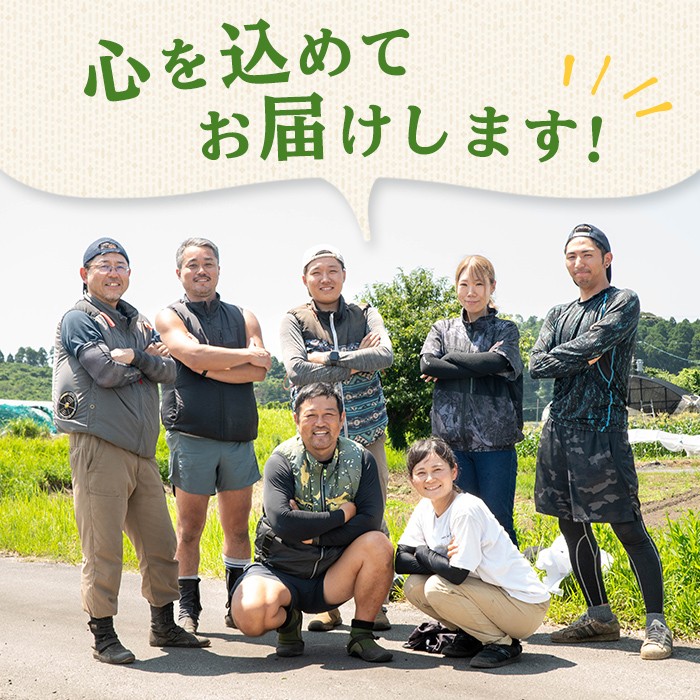 å¿åžå¿ç£ããŒãã³(1kg) ããŒãã³ éè ããã ãŽãŒãŸã æ°é®® åžžæž© åžžæž©ä¿å ããã è©°ãåãã éè³ éè³åè³ éèãœã ãªãšãµããã p8-149