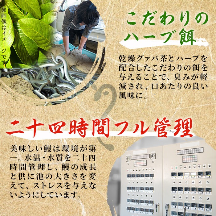 鹿å
å³¶çç£ äŒåŽç°ã®ããªãè²çŒå»ã¿ããªã 50gÃ20è¢(èš1kg) é°» ããªã ãŠãã® ããã¿é°» å»ã¿ããªã å»ã¿é°» è²çŒã ãã°ãã åœç£ ä¹å·ç£ 鹿å
å³¶çç£ å·å ã¬ã³ãž ç°¡å ããªäžŒ ã²ã€ãŸã¶ã æ£è ããã å°åã c5-040