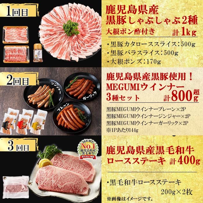 縲仙ョ壽悄萓ソ繝サ蜈ィ6蝗槭鷹ケソ蜈仙ウカ逵檎肇鮟定ア壹サ鮟呈ッ帛柱迚帶コ蝟ォ繧ウ繝シ繧ケシ 邱城4.5kg雜! t0088-002