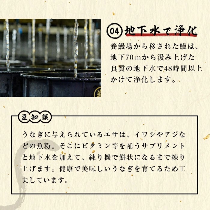 【志布志市人気No.1お礼の品】霧島湧水鰻の蒲焼き 140g以上×3尾＜計420g以上＞ うなぎ 鰻 ウナギ 3尾 国産 九州産 蒲焼き かばやき 冷凍 うな重 ひつまぶし タレ 山椒 ランキング 人気 a6-072