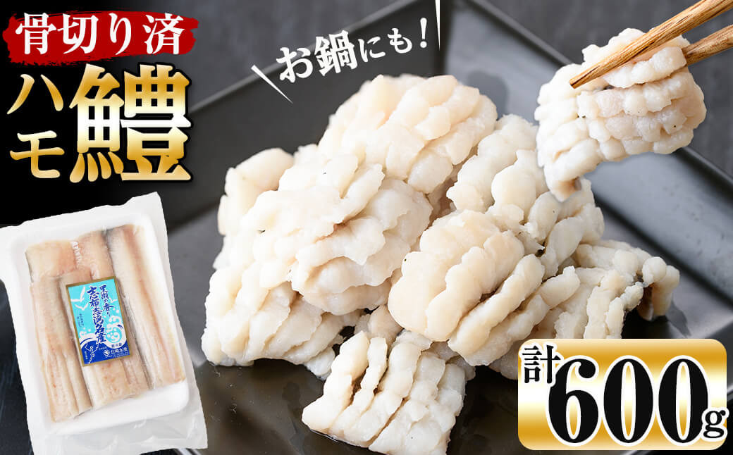 お鍋・はもしゃぶにも！志布志湾鱧（骨切り済み） 計600g a5-296