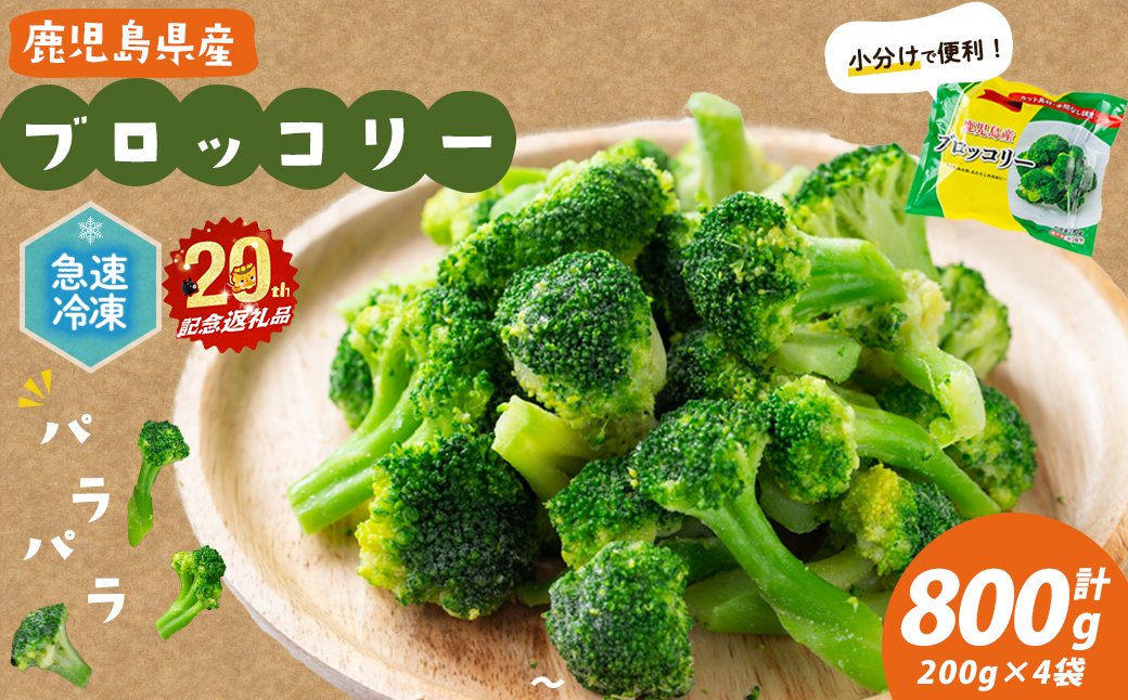 【志布志市制20周年記念】鹿児島県産 冷凍ブロッコリー＜計800g＞(200g×4袋) p7-046