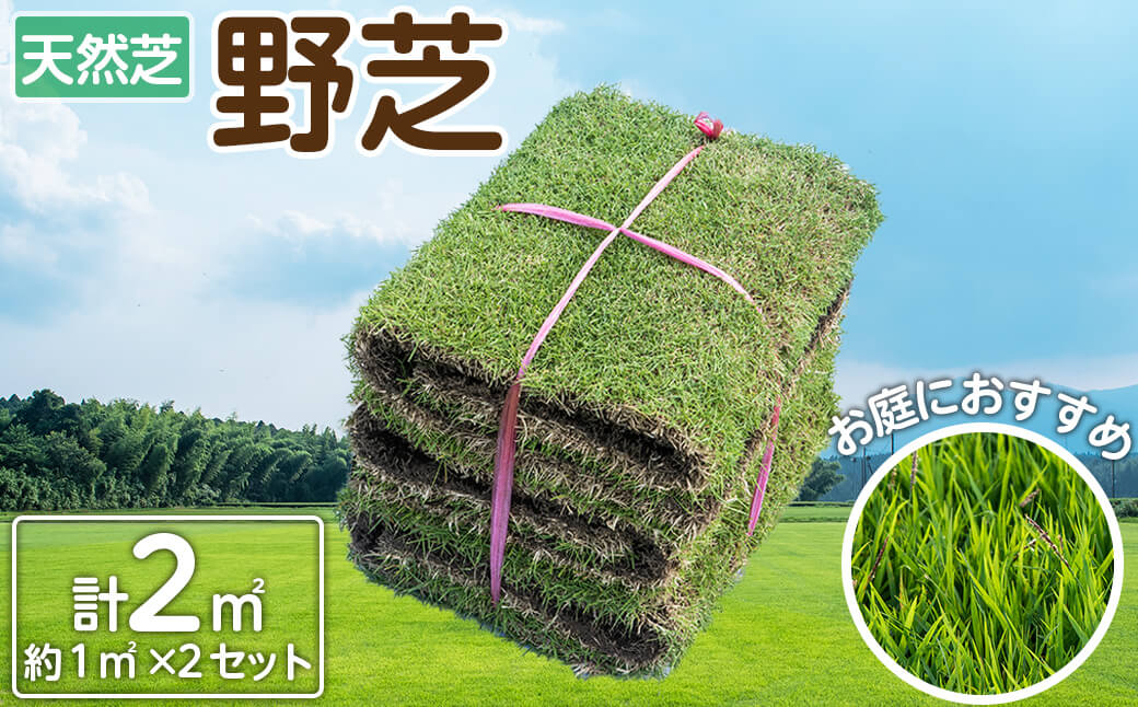 天然芝＜野芝＞2平米! a1-110