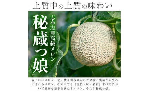 【春限定】極上メロン「秘蔵っ娘」赤玉(赤肉)1個 メロン マスクメロン 果物 くだもの デザート 赤肉 a5-060-s