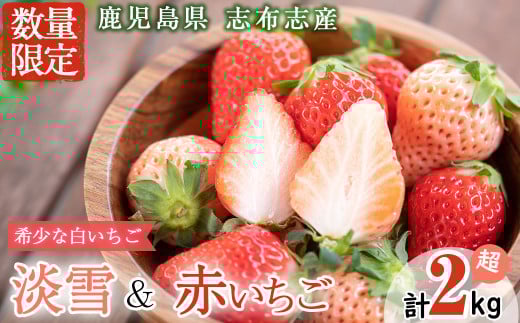 〈先行予約受付中!〉鹿児島県産いちご!志布志発祥白いちご「淡雪」4Pと季節おまかせ赤いちご4Pセット(計2kg・約270g×8P) c0-015