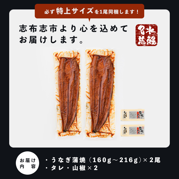 縲仙ソ怜ク蠢怜クょ宛20蜻ィ蟷エ險伜ソオ縲代10蝟カ讌ュ譌・莉・蜀縺ォ逋コ騾√鷹ケソ蜈仙ウカ逵檎肇縺縺ェ縺手調辟シ 蜷肴ーエ諷磯ーサ 2蟆セシ1蟆セ縺ゅ◆繧140ス210g繝サ險350g莉・荳奇シ峨≧縺ェ縺 魏サ 繧ヲ繝翫ぐ 2蟆セ 蝗ス逕」 闥イ辟シ 縺九ー繧縺 蜀キ蜃 逵溽ゥコ 逵溽ゥコ繝代ャ繧ッ 辟。鬆ュ 縺縺ェ驥 縺イ縺、縺セ縺カ縺 繧ソ繝ャ 螻ア讀 a3-236