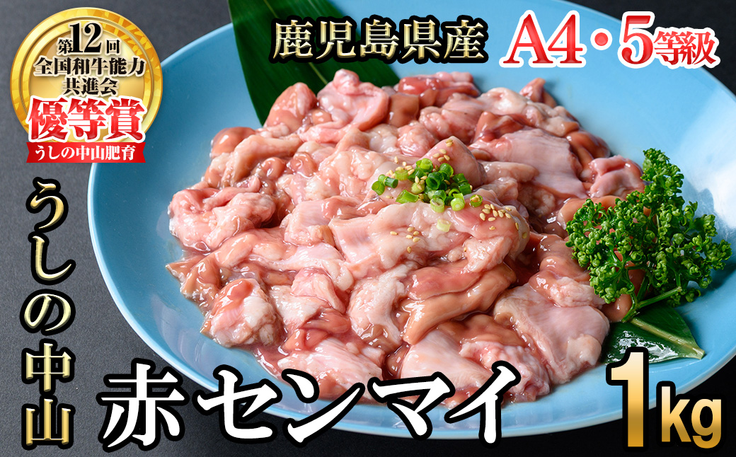 うしの中山 A4・A5等級黒毛和牛 赤センマイ（ギアラ）計1kg（500g×2P）a5-345