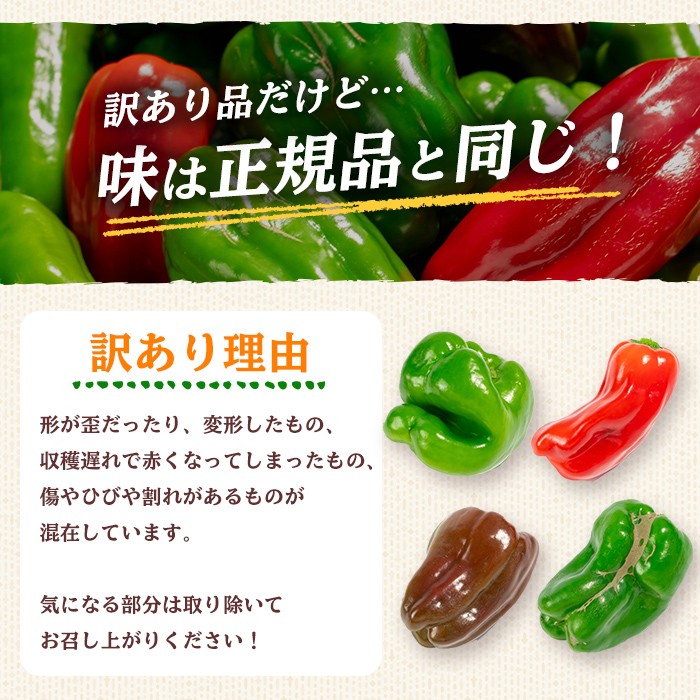 å¿åžå¿ç£èš³ããããŒãã³(1kg) ããŒãã³ èš³ãã éè ããã ãŽãŒãŸã æ°é®® åžžæž© åžžæž©ä¿å ããã è©°ãåãã éè³ éè³åè³ éèãœã ãªãšãµããã p5-050