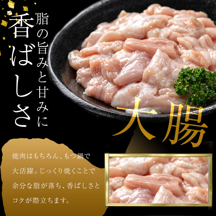 うしの中山 A4・A5等級黒毛和牛 ホルモン（大腸） 計1kg（500g×2袋）a5-347