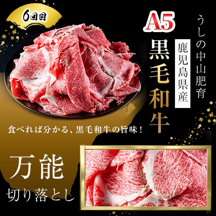 【定期便全6回】＜A4・A5等級＞黒毛和牛堪能〈満足〉定期便（2〜3人分）総重量1.95kg 鹿児島県産 黒毛和牛 和牛 肉 牛肉 国産 九州産 鹿児島県産 焼肉 焼き肉 BBQ A4 A5 赤身 切り落とし カルビ お楽しみ 食べ比べ ハンバーグ ミスジ 霜降り ステーキ 2人前 3人前 t0069-001