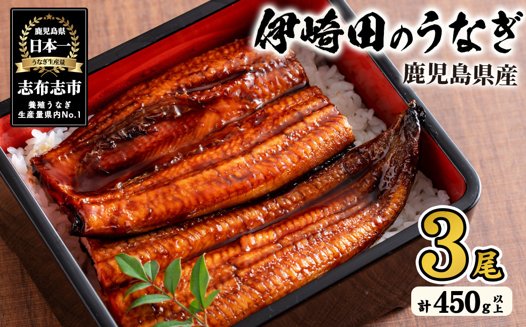【数量限定】鹿児島県産 伊崎田のうなぎ蒲焼 中＜150g以上＞× 3尾(計450g以上) b1-020