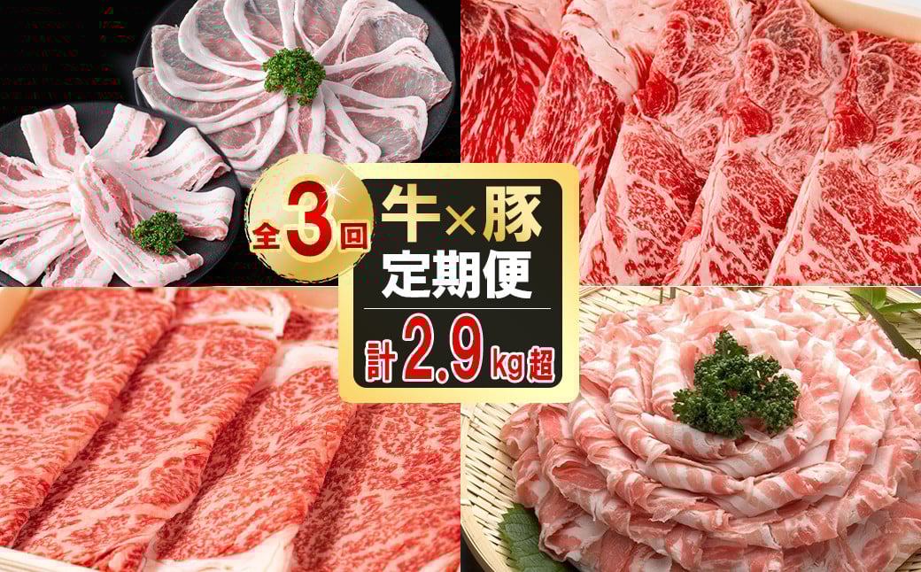 【定期便全3回】贅沢！国産黒毛和牛・豚肉定期便(3ヶ月連続・総量2.9kg以上) t0042-007