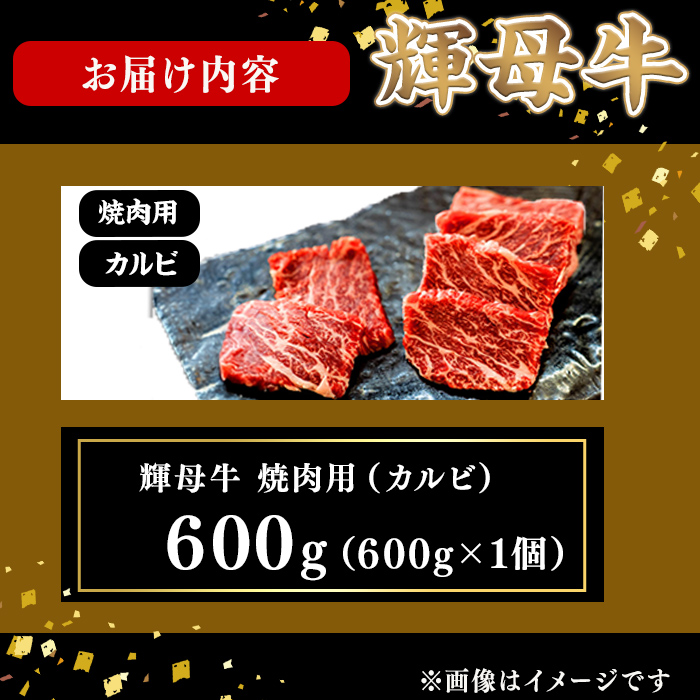 輝母牛焼肉用(カルビ)(3人前600g/600g×1個) b9-005