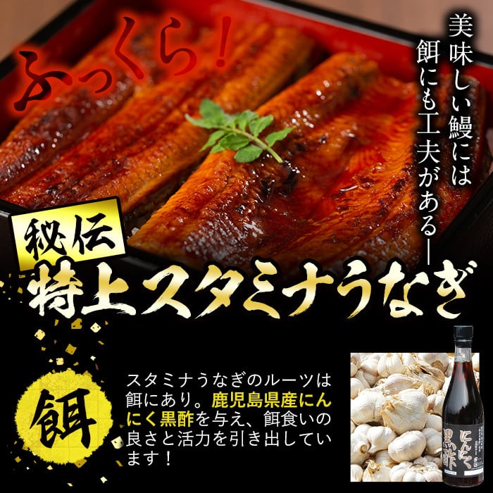 【訳あり】鹿児島県産！秘伝のスタミナうなぎ蒲焼き＜計800g以上／5尾以上＞肝吸いセット！ d0-038