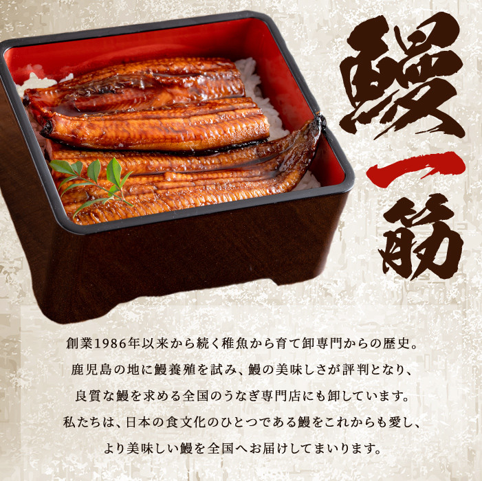 ãã®ãã察å¿ããæ°ééå®ã鹿å
å³¶çç£ãäŒåŽç°ã®ããªãïŒ130g以äžïŒÃ3å°Ÿ(390g以äž) b2-035