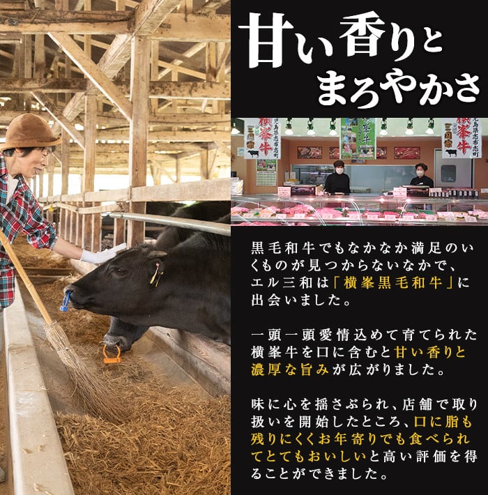 鹿児島県志布志市産横峯黒毛和牛のサーロインステーキ計500g(250g×2枚) 鹿児島県産 国産 牛肉 牛 焼き肉 希少牛 サーロイン ステーキ バーベキュー BBQ d0-030