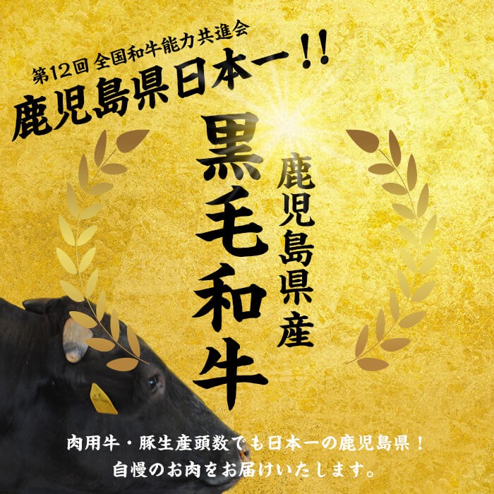 ã鹿å
島黿¯åçãæ¥µäžããŒã¹ãããŒã(500g) b0-170