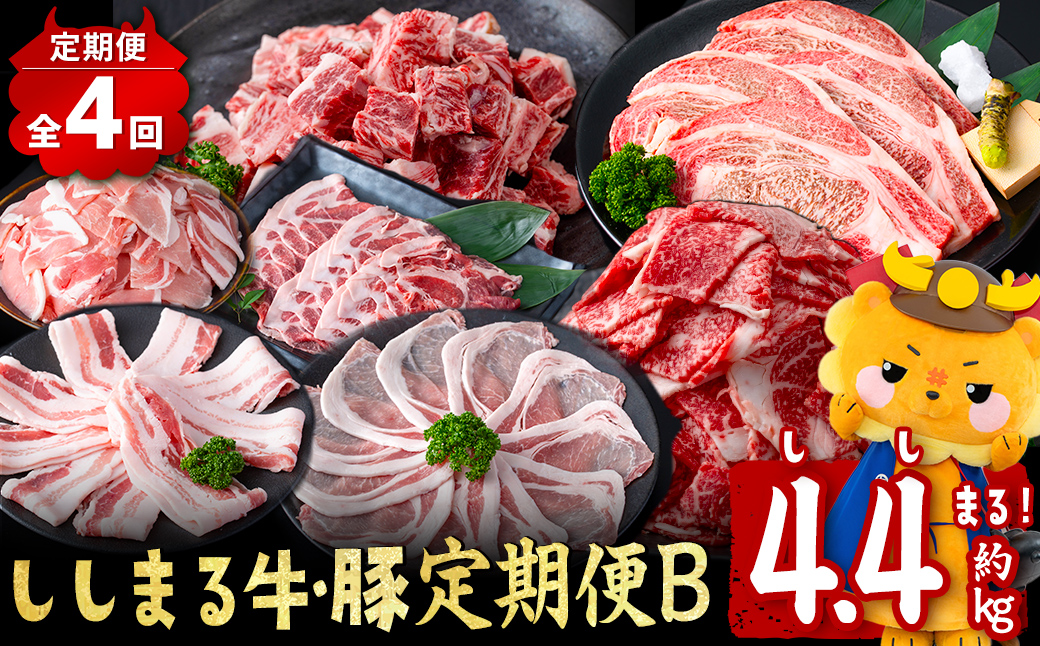 【定期便全4回】ししまる牛・豚定期便B(4ヶ月連続・約4.4kg) t0050-021