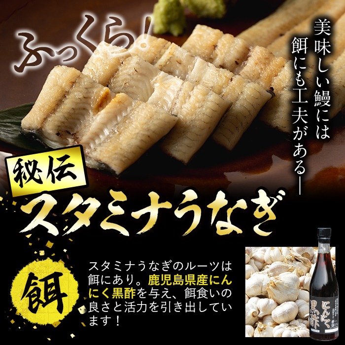 【丑の日までに配送】【訳あり】鹿児島県産！秘伝の特上スタミナうなぎ白焼き＜計600g以上／4尾以上＞肝吸いセット！ c1-014