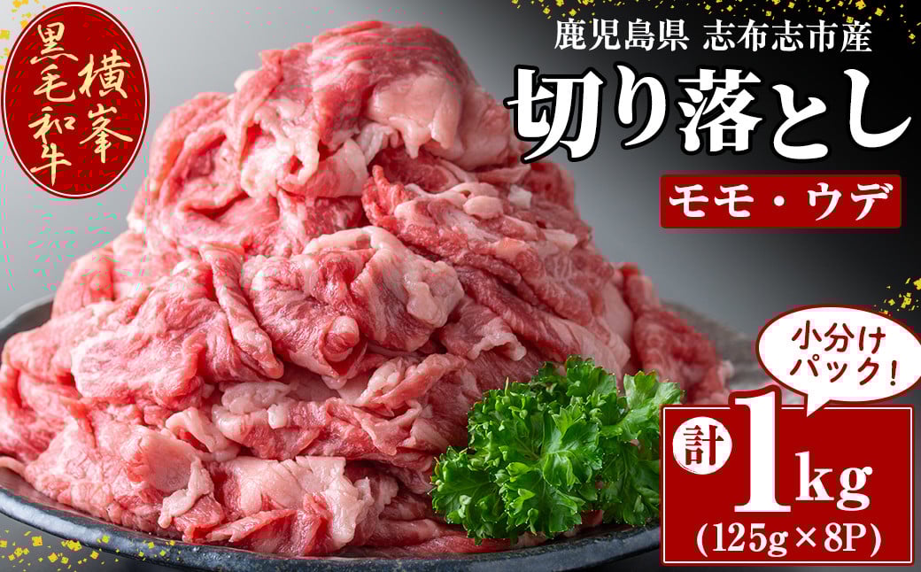 鹿児島県志布志市産横峯黒毛和牛の切り落とし肉(計1kg・125g×8P) c9-002