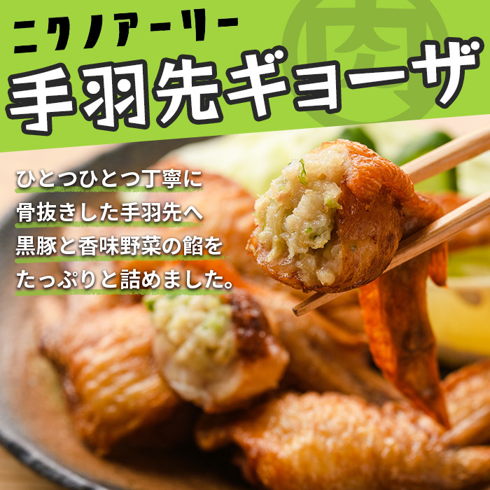 肉屋が作った！手羽先ギョーザ 計30本(10本×3袋) a3-215