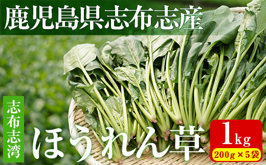 【数量限定】志布志湾ほうれん草(200g×5袋 合計1kg) a1-032