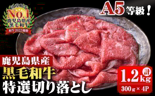A5等級！鹿児島県産 黒毛和牛特選切り落とし 計1,200g (300g×4P) b0-163-D