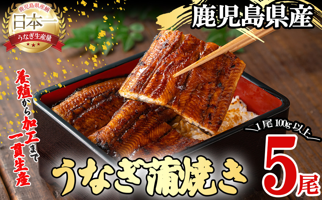 桜林養鰻のうなぎ蒲焼 計500g以上(100g以上×5尾) b7-016