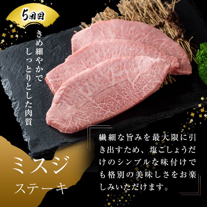 【定期便全6回】＜A4・A5等級＞黒毛和牛堪能〈満足〉定期便（2〜3人分）総重量1.95kg 鹿児島県産 黒毛和牛 和牛 肉 牛肉 国産 九州産 鹿児島県産 焼肉 焼き肉 BBQ A4 A5 赤身 切り落とし カルビ お楽しみ 食べ比べ ハンバーグ ミスジ 霜降り ステーキ 2人前 3人前 t0069-001