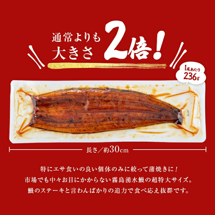 【数量限定】超特大！鹿児島県産 山田水産の霧島湧水鰻(計1400g以上・236g以上×6尾) うなぎ 鰻 ウナギ 6尾 国産 九州産 蒲焼き かばやき 冷凍 うな重 ひつまぶし タレ 山椒 ランキング 人気 c5-039-yy