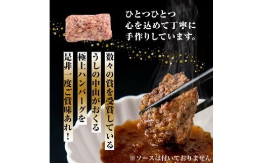 【定期便全3回】＜A4・A5等級＞鹿児島県産黒毛和牛100%使用 極上手ごねハンバーグ 計9kg（150g×20個・全3回） 黒毛和牛 和牛 ハンバーグ 冷凍ハンバーグ 牛肉 国産 九州産 ミンチ 小分け A4 A5 日本一 t0084-012