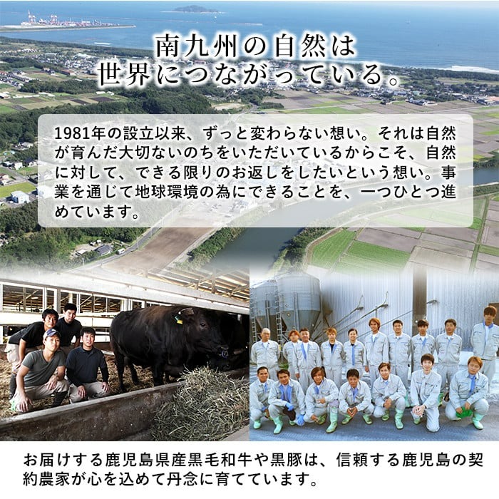 九州産豚ヒレ 5本＜計2kg以上＞ a5-309