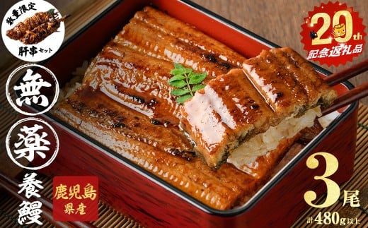 【無薬養鰻】 鹿児島産 山田のうなぎ ＜計480g以上＞（160g以上×3尾） 肝串セット 【ポータル限定】 a6-062-km