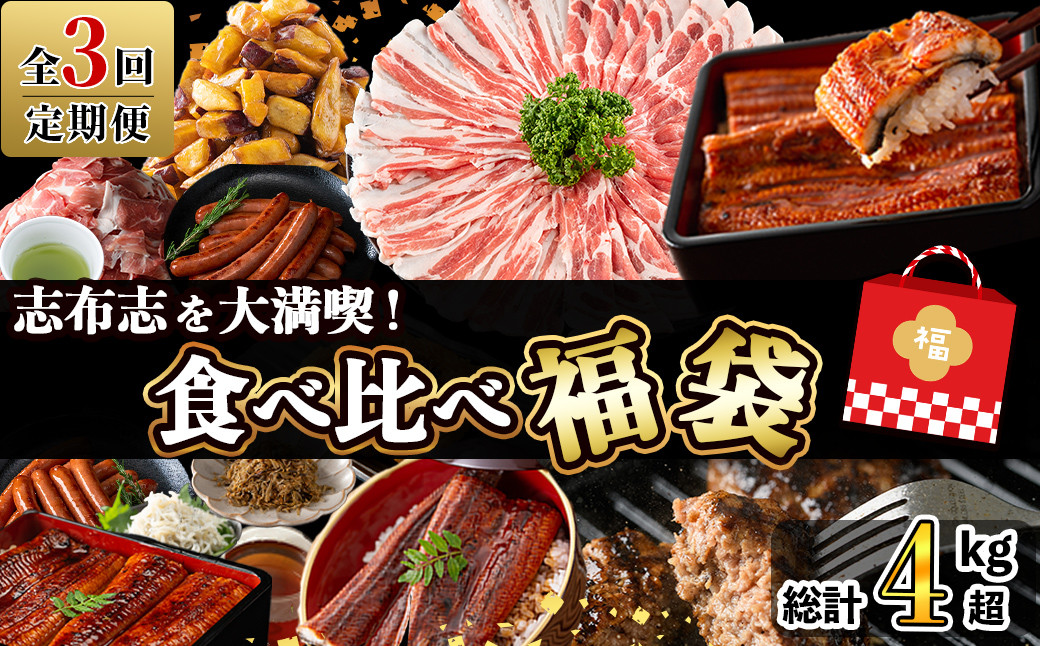 【定期便全３回】志布志を大満喫！食べ比べ福袋 総計４kg超 t0084-014