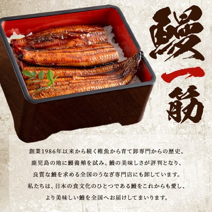 ãã®ãã察å¿ããæ°ééå®ã鹿å
å³¶çç£ãäŒåŽç°ã®ããªãäžïŒ150g以äžïŒÃ2å°Ÿ(300g以äž)ããã¬ãã¢ã ã®ããç®±ã a9-030