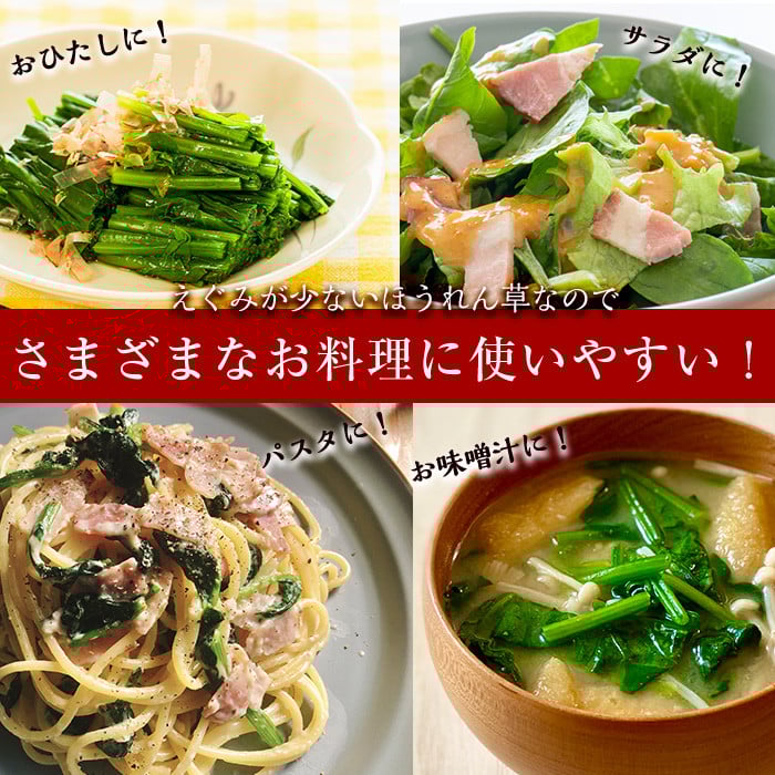 【数量限定・訳あり】志布志湾ほうれん草(計2kg 200g×10袋) サラダ おひたし お味噌汁 スムージー ほうれん草 ジュース ほうれんそう a2-081