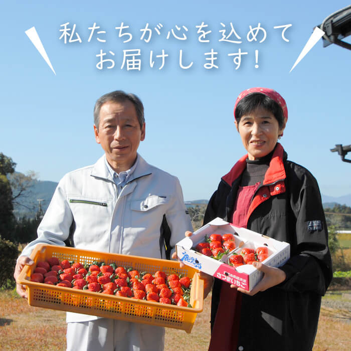 ãå
è¡äºçŽåä»äžïŒããæ°ééå®ã鹿å
å³¶çç£ææ¡ãã€ããŽãæã¿ã®ããçŽ1080g(çŽ270gÃ4ããã¯) a3-209