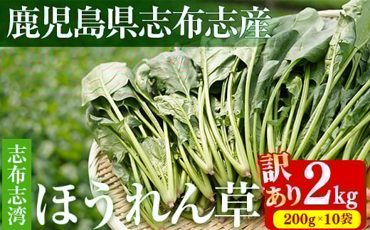 【数量限定・訳あり】志布志湾ほうれん草(計2kg 200g×10袋) a2-081