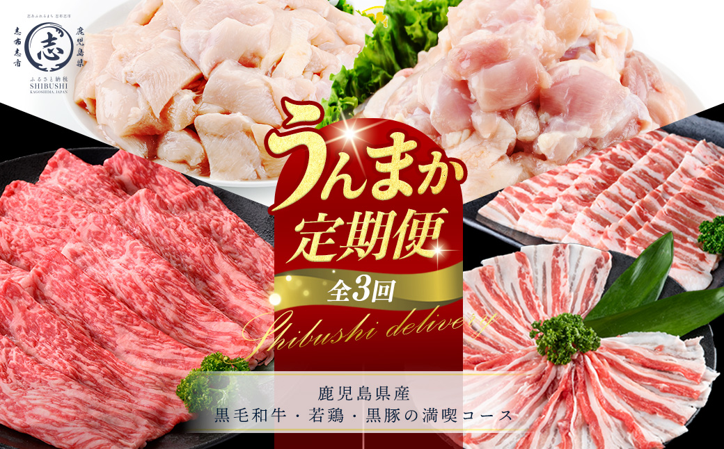 【定期便全3回】鹿児島県産 黒毛和牛・若鶏・黒豚の満喫コース！志布志うんまか定期便 牛肉 赤身 モモ ウデ 豚肉 肉 黒豚 バラ バラ肉 スライス しゃぶしゃぶ 焼肉 鶏肉 とり肉 鳥肉 鶏もも肉 鶏ムネ肉 若鶏 バラエティ セット t0046-005