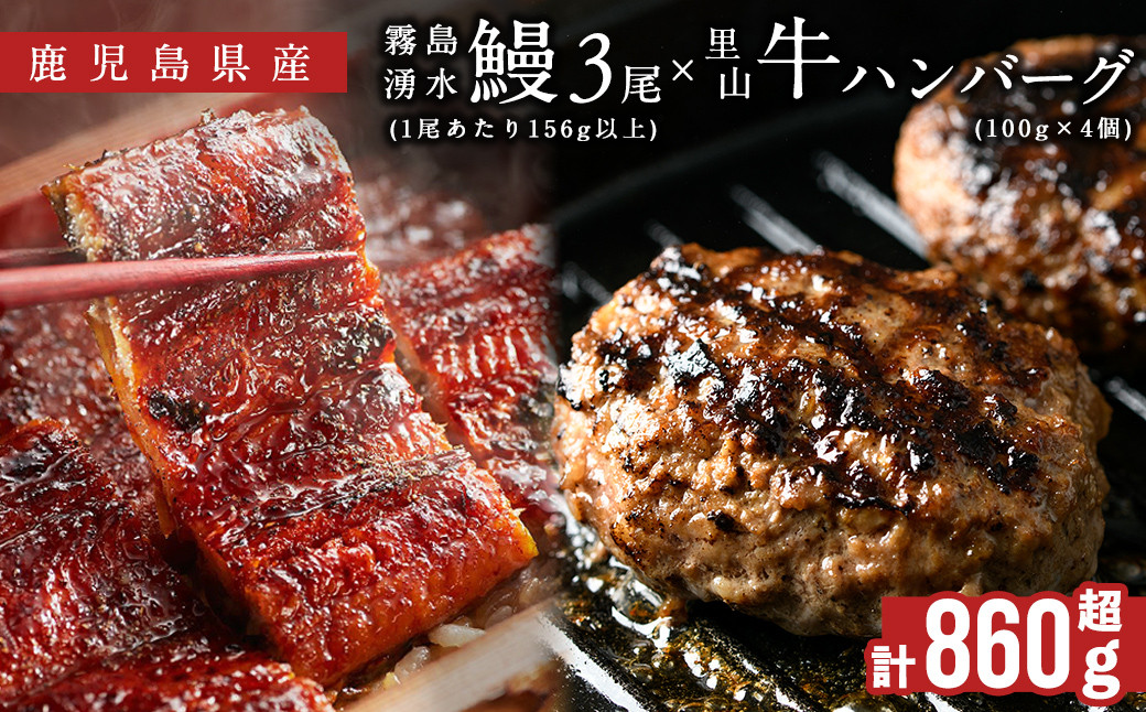 鹿児島県産 霧島湧水鰻3尾(1尾156g)×里山牛100%手作りハンバーグ4個(1個100g) (総計860g以上) b6-019