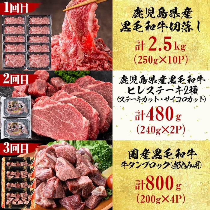 【定期便・全12回】＜A5等級＞鹿児島県産黒毛和牛＆国産牛タン プレミアム！牛肉満喫コース＜計12kg超＞ t026-001