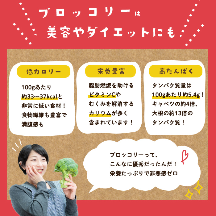 【志布志市制20周年記念】鹿児島県産 冷凍ブロッコリー＜計2.4kg＞(200g×12袋) a5-354