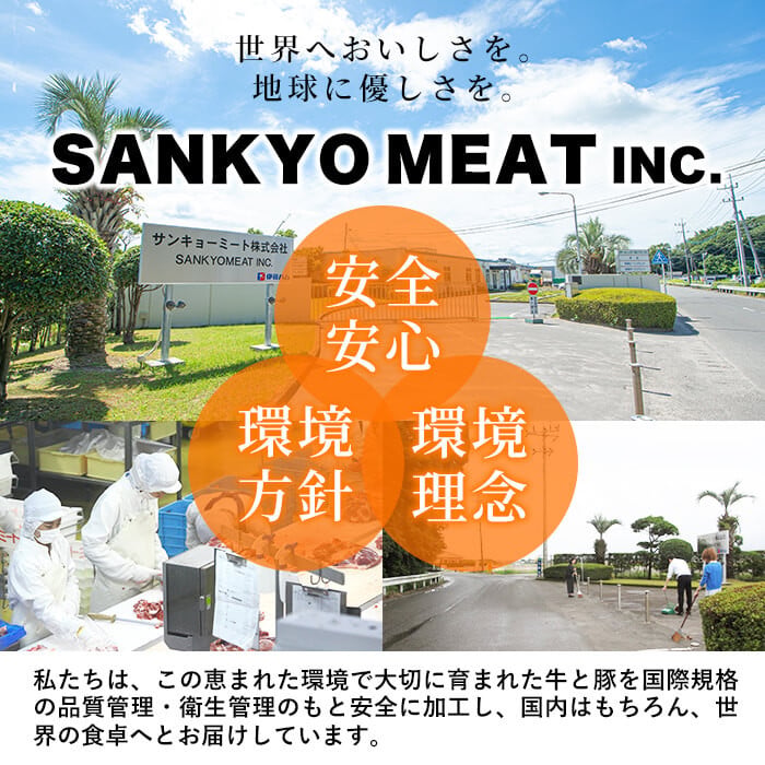 黒毛和牛ステーキ肉高級部位2種＜リブロース・サーロイン＞食べ比べ(計900g) b8-045