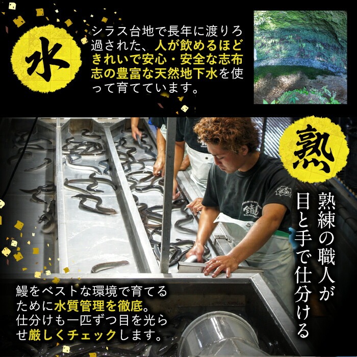 【丑の日までに配送】【訳あり】鹿児島県産！秘伝の特上スタミナうなぎ白焼き＜計800g以上／5尾以上＞肝吸いセット！ d1-008